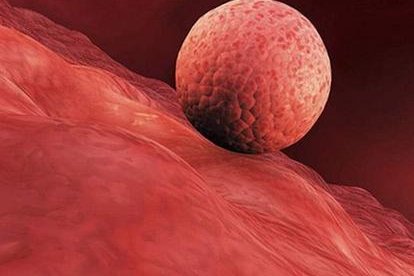 泰国第三代试管婴儿价格、总费用多少？