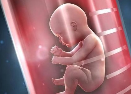 日本三代试管做方法有什么？