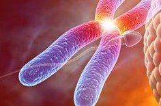 2026湖南试管孩子前十医院排名有哪些？附医院详情？